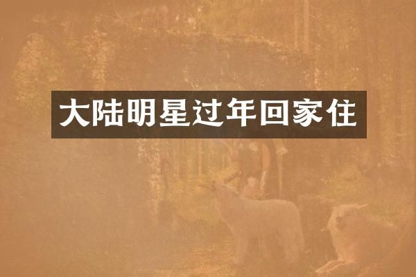 大陆明星过年回家住