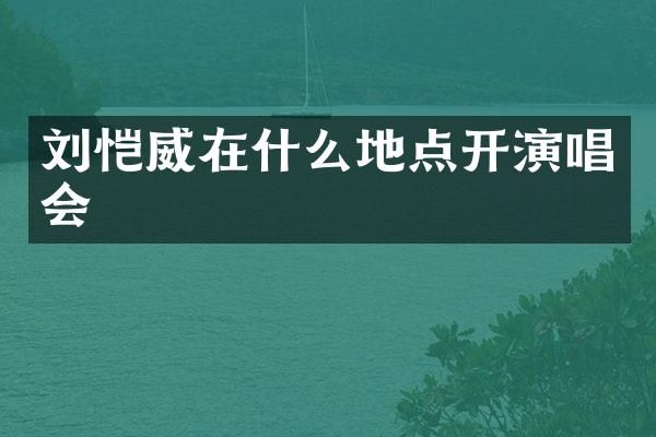 刘恺威在什么地点开演唱会