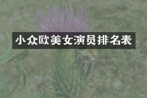 小众欧演员排名表