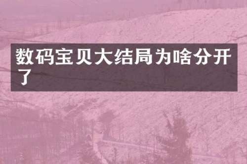 数码宝贝大结局为啥分开了