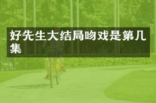 好先生大结局是第几集