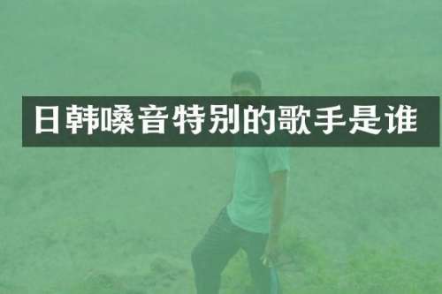 日韩嗓音特别的歌手是谁