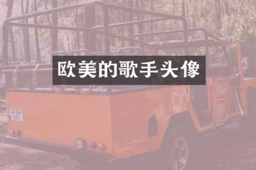 欧美的歌手头像