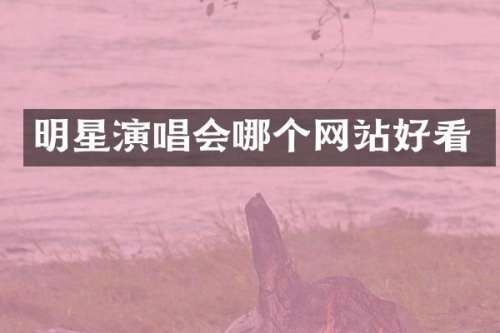明星演唱会哪个网站好看