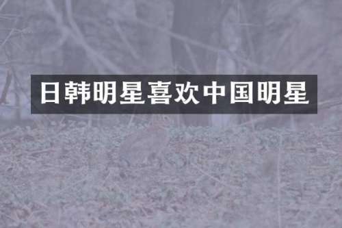 日韩明星喜欢中国明星