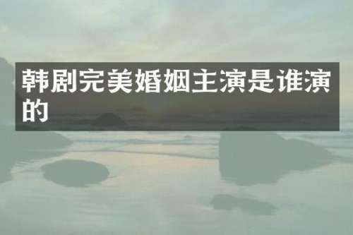 韩剧完美婚姻主演是谁演的