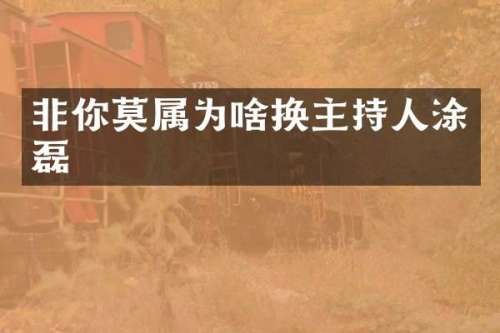 非你莫属为啥换主持人涂磊