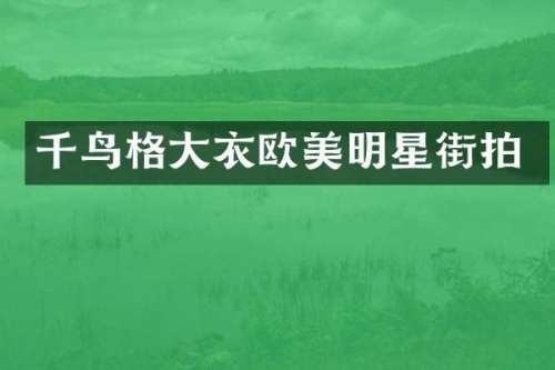 千鸟格大衣欧美明星街拍