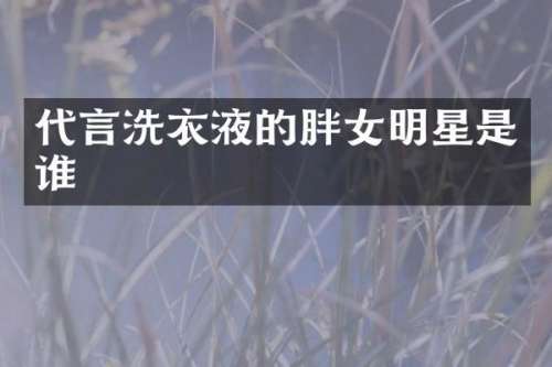 代言洗衣液的胖女明星是谁