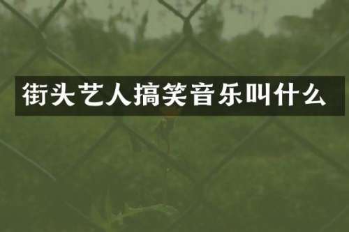 街头艺人搞笑音乐叫什么
