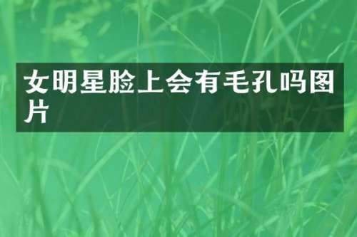 女明星脸上会有毛孔吗图片