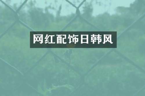 网红配饰日韩风