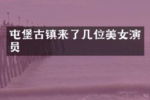 屯堡古镇来了几位演员
