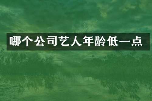 哪个公司艺人年龄低一点