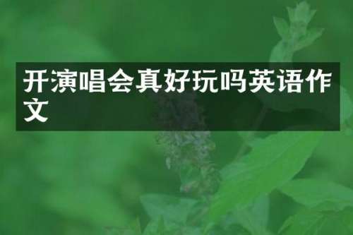 开演唱会真好玩吗英语作文
