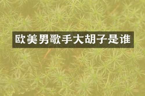 欧美男歌手大胡子是谁