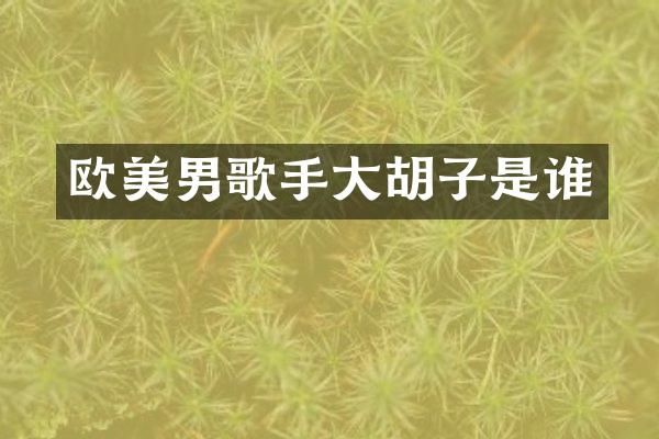 欧美男歌手大胡子是谁