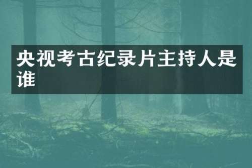央视考古纪录片主持人是谁