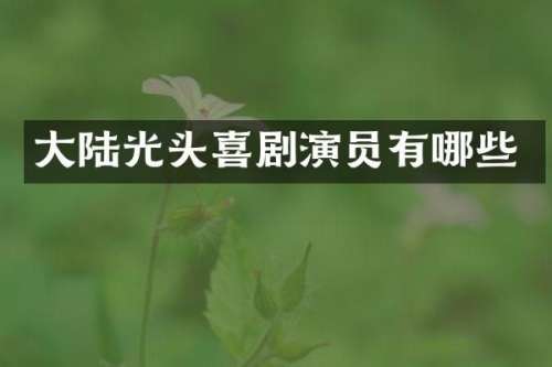 大陆光头喜剧演员有哪些