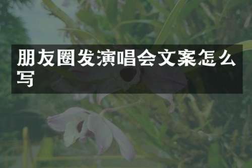 朋友圈发演唱会文案怎么写