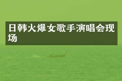 日韩火爆女歌手演唱会现场