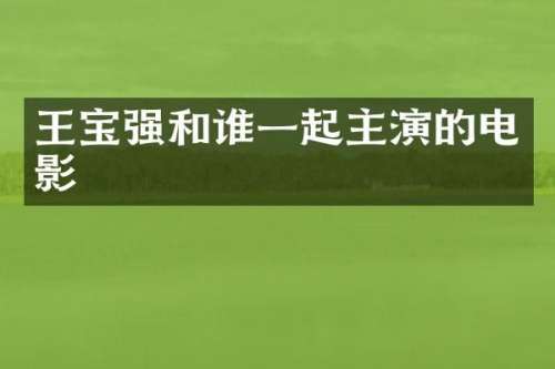 王宝强和谁一起主演的电影