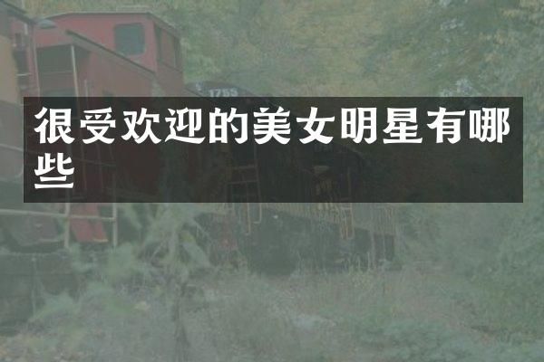 很受欢迎的明星有哪些