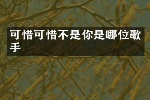 可惜可惜不是你是哪位歌手