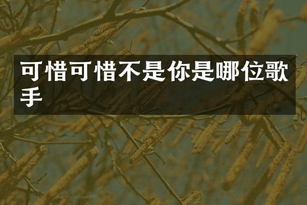 可惜可惜不是你是哪位歌手