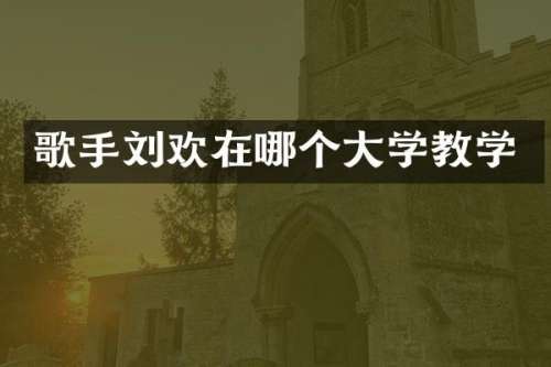 歌手刘欢在哪个大学教学