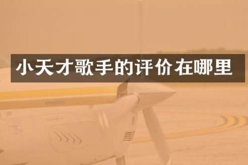 小天才歌手的评价在哪里