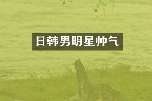 日韩男明星帅气