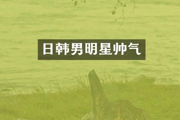 日韩男明星帅气