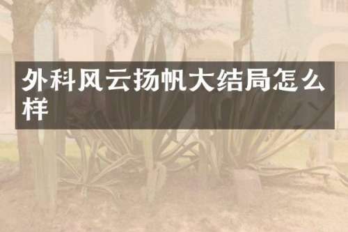 外科风云扬帆大结局怎么样