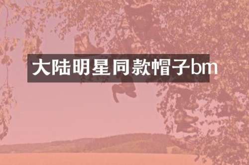 大陆明星同款帽子bm
