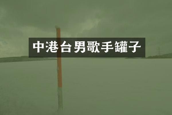 中港台男歌手罐子