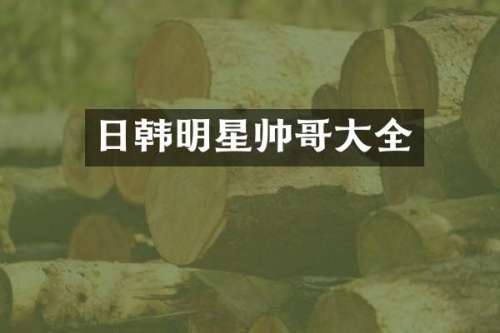 日韩明星帅哥大全