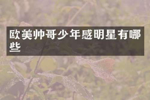 欧美帅哥少年感明星有哪些