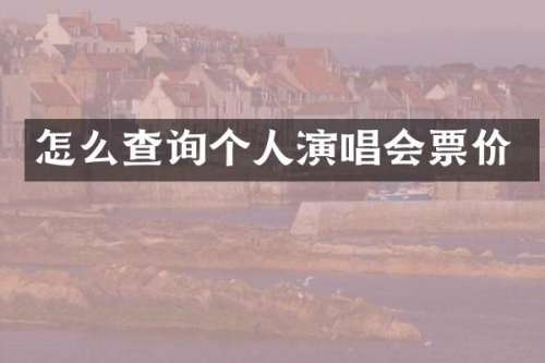 怎么查询个人演唱会票价