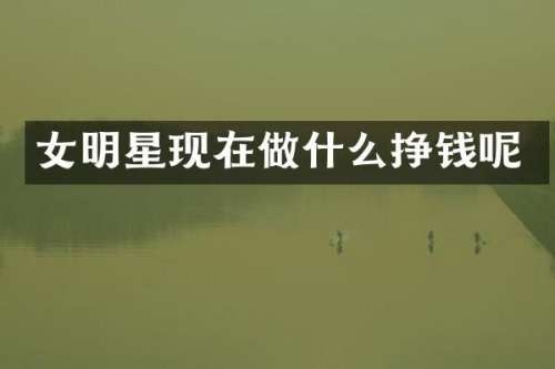 女明星现在做什么挣钱呢