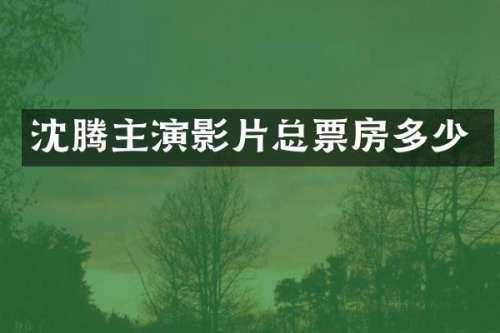 沈腾主演影片总票房多少