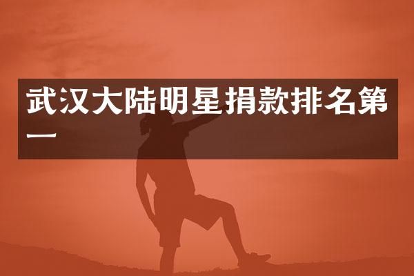 武汉大陆明星捐款排名第一