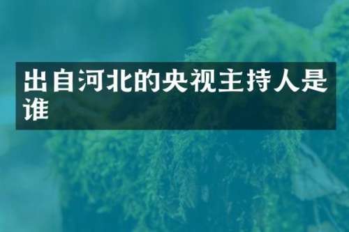 出自河北的央视主持人是谁