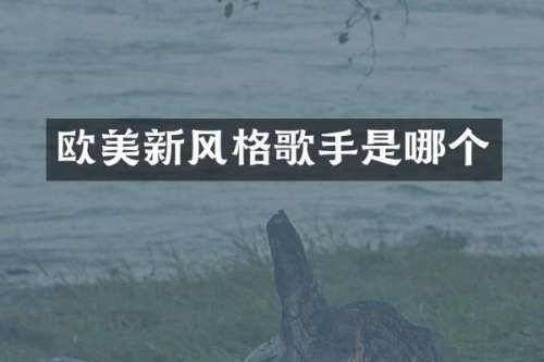 欧美新风格歌手是哪个