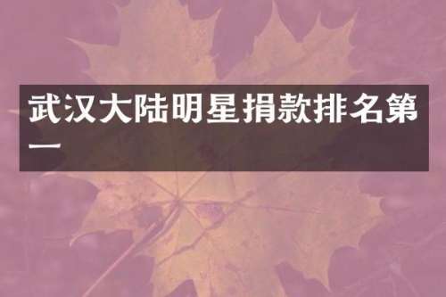 武汉大陆明星捐款排名第一