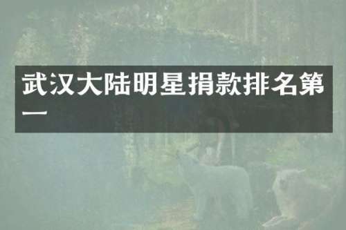 武汉大陆明星捐款排名第一