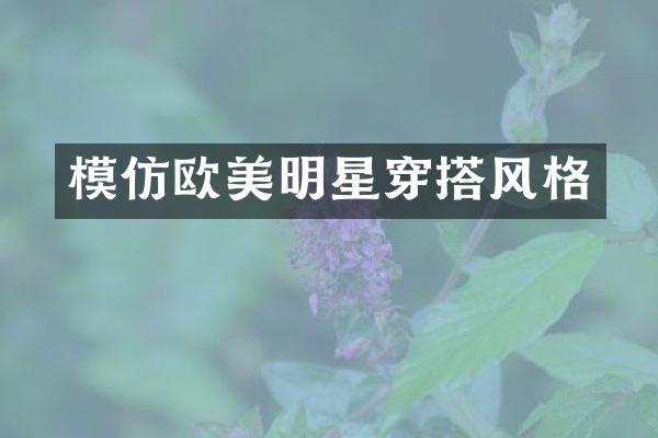 模仿欧美明星穿搭风格