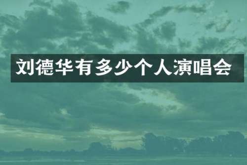 刘德华有多少个人演唱会