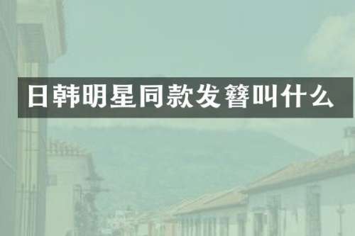 日韩明星同款发簪叫什么