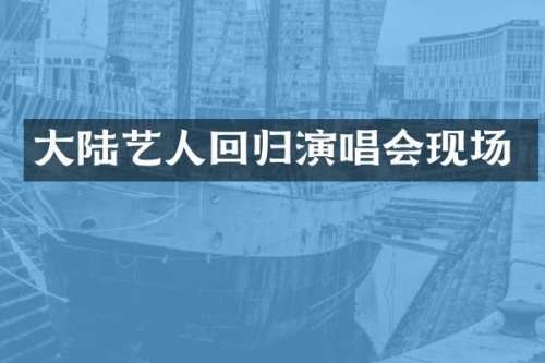 大陆艺人回归演唱会现场
